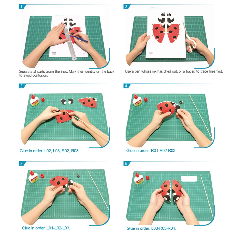 Biedronka owada Origami Art Mi – Art Craft Ladybug recenzja i cena