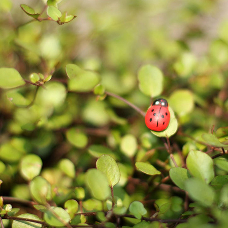 100 szt. Samoprzylepnych Mini  – Art Craft Ladybug recenzja i cena